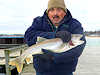 12/23/12- A lake trout caught (and released) by Larry