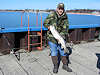 3/30/13- A lake trout caught on the outside of the State Dock