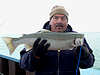 3/26/13- Larry with a 6 lb. steelhead caught on the outside of the State Dock