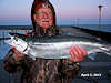 4/3//13- Dennis with a 29 inch steelhead caught on the outside of the State Dock