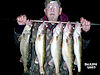 12/08/14- Limit catch of walleyes by Dallas