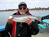 4/5/12- 23inch 4lb 14 oz. Steelhead caught by Dallas