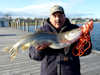 5/05/14- 33 inch 13 lb. Lake trout caught by Larry