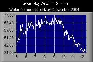 Water Temperature- 2004